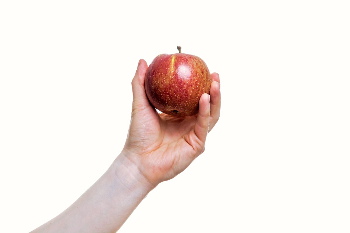 World and Science tweet media