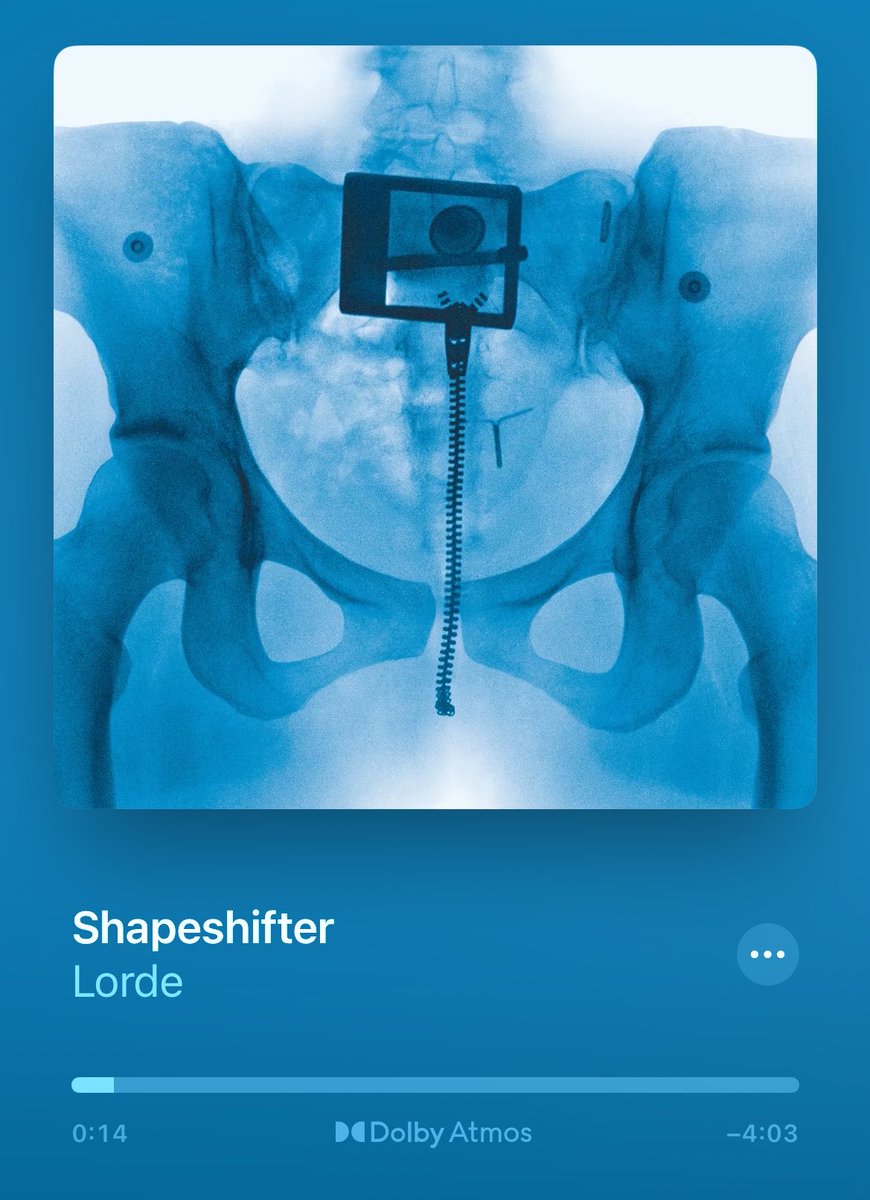 pietro 🌊 🩻 tweet media