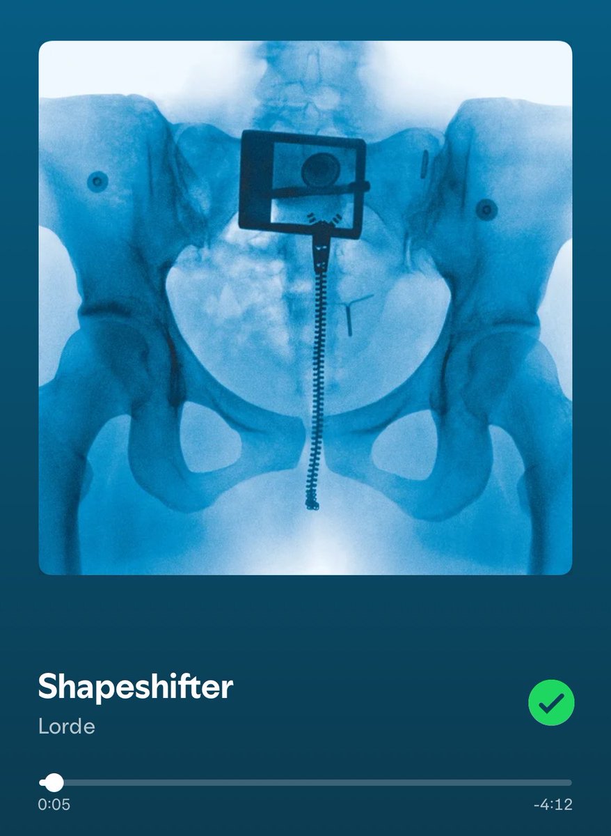 pietro 🌊 🩻 tweet media