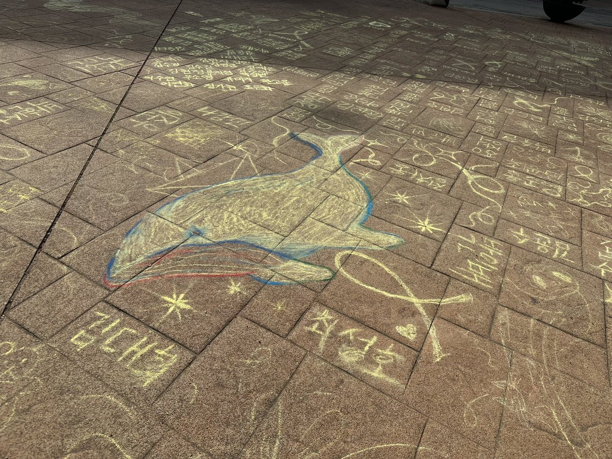 진보당 허수경 tweet media