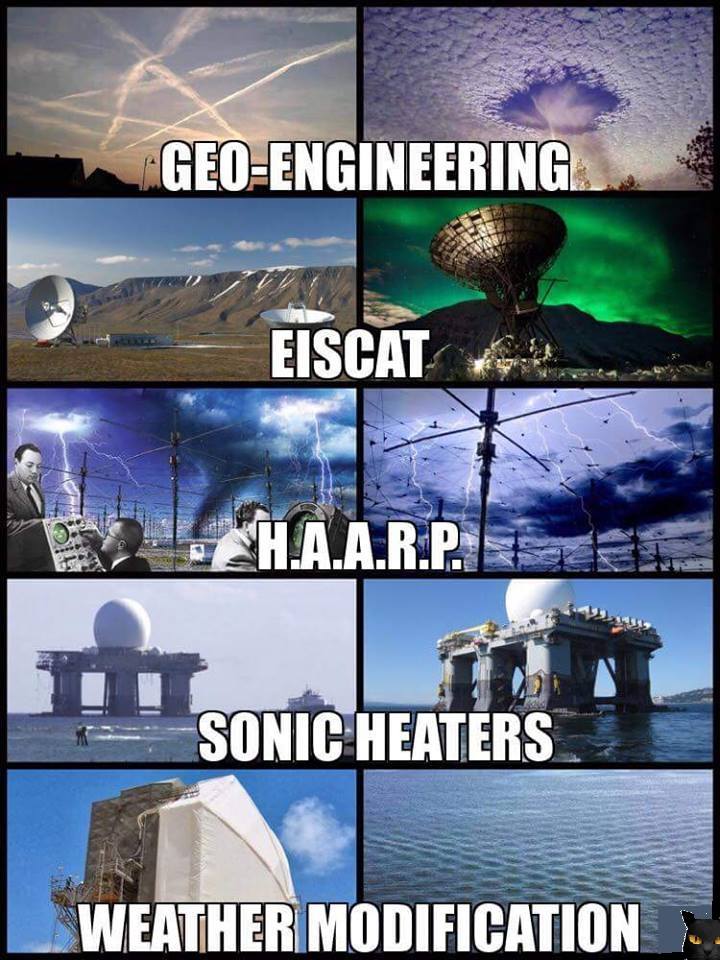 rabbitholebot tweet media