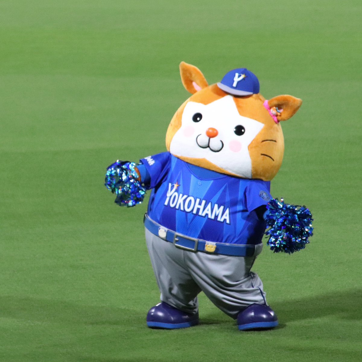 らんぴーちゃん tweet media