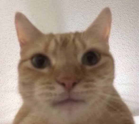 Ryune GO "Era 2026" tweet media