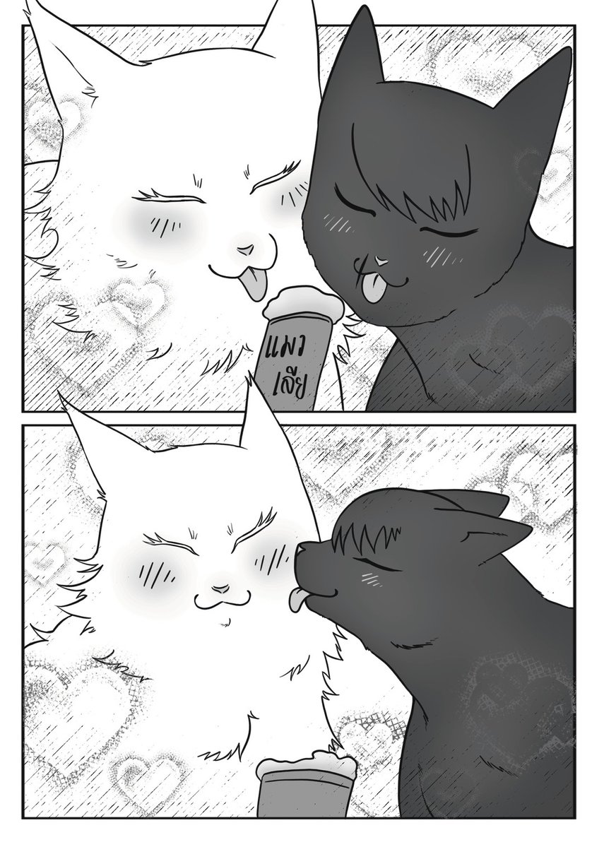 𝕂𝕠𝕣𝕐𝕠𝕣 tweet media