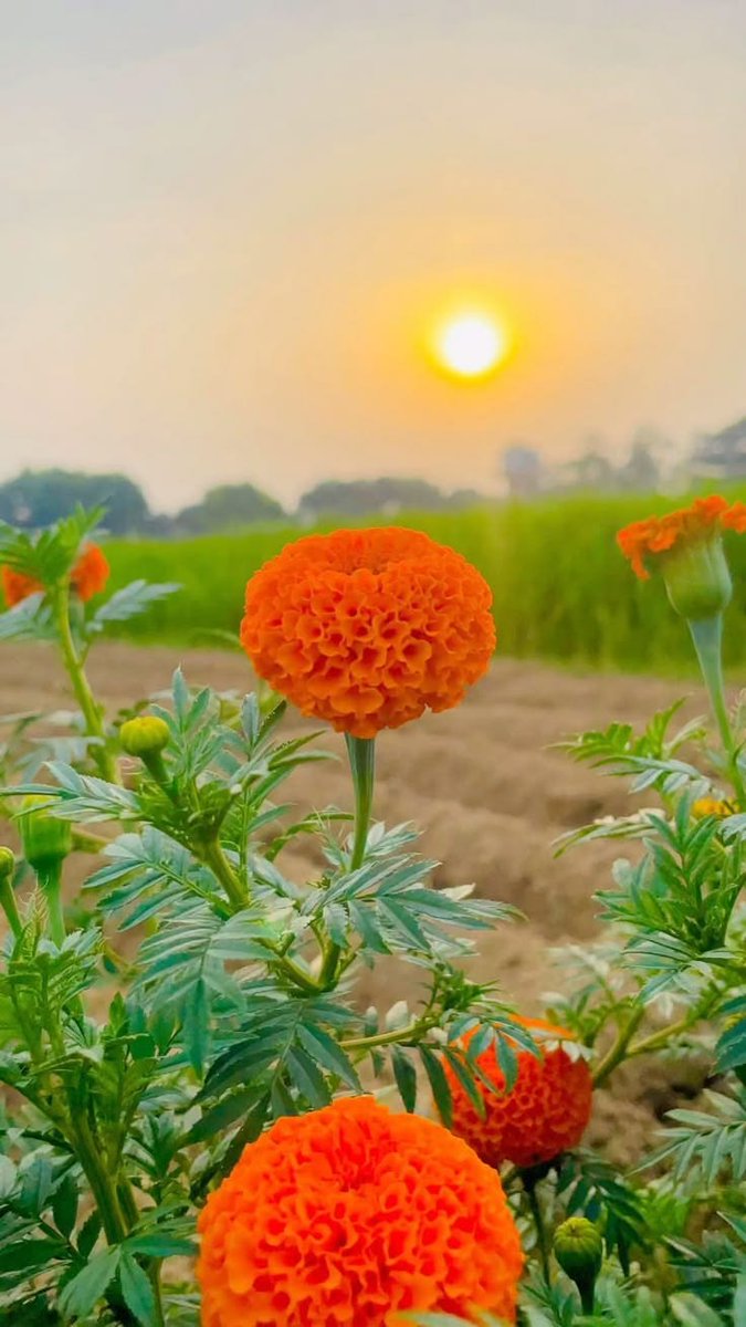 ☆~ ASHTHA ~☆ tweet media