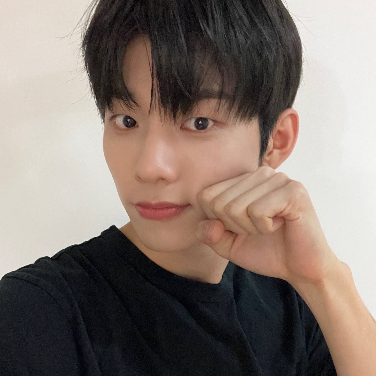 ɴᴏᴄᴄᴅᴅᴏᴏ tweet media