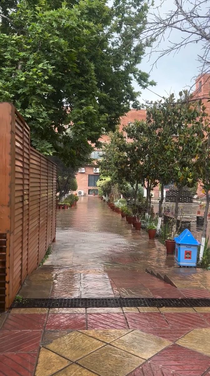 aMuslima_'s tweet image. بارش شروع ہوتے ہی دل نے کہا… چپلی کباب ہو جائیں ☔😋🔥
خوبصورت موسم اور گرم گرم چپلی کباب
بس زندگی میں اور کیا چاہیے… ❤️
#RainMood #ChapliKabab #WeatherVibes