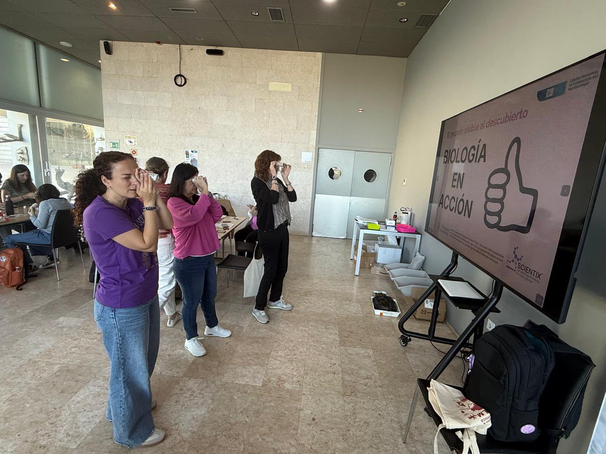 Museo de Paleontología de Castilla-La Mancha tweet media