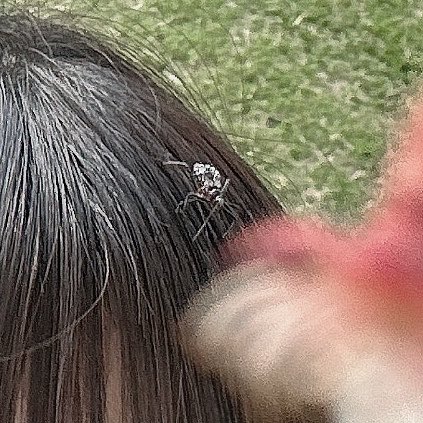 小倉まゆ(なんキニ！) tweet media