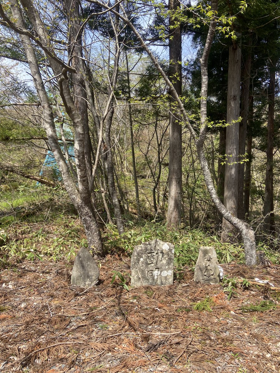 やまおとこのつくい tweet media
