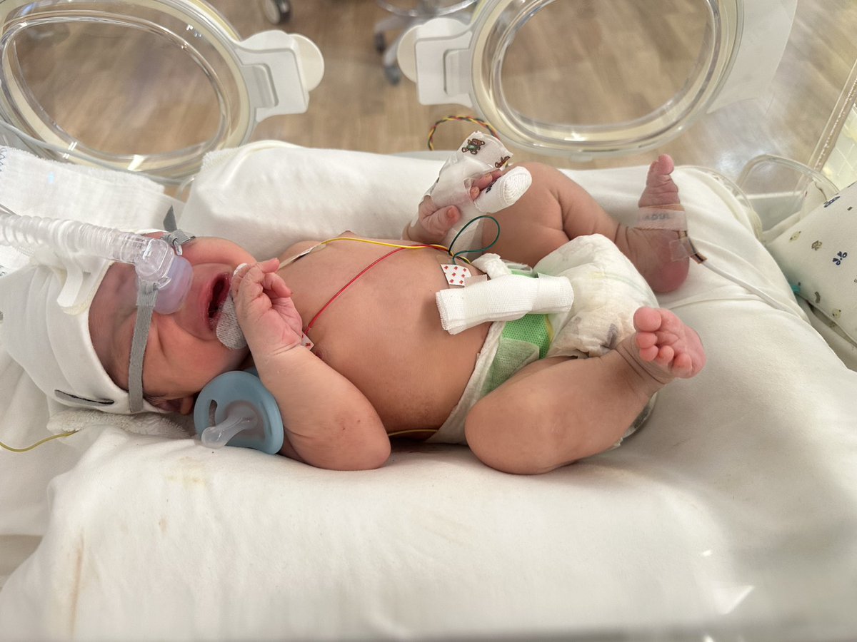 くろねこ⸜₍^-∞-^₎⸝🐾 tweet media