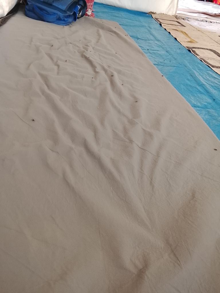 BaraAlasal55411's tweet image. In the tents… the suffering isn't just from the heat or the cold.

Flies are everywhere—on the food, on the sleeping areas, even on the children's faces.

There's no adequate hygiene, no protection.

Our days have become a war against merciless insects… #Gaza #Tents #Suffering
