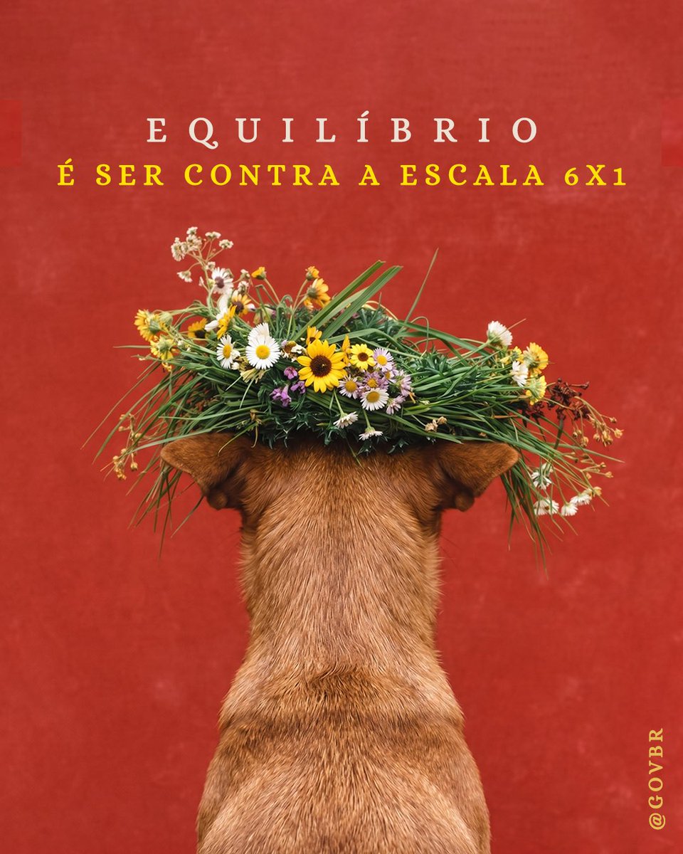 Governo do Brasil tweet media