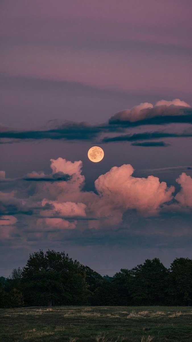 earthserenityy's tweet photo. https://t.co/G6V7bBWDbw
