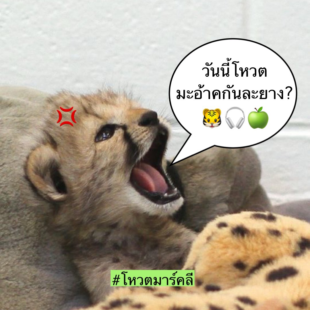 벱씨‎ ྀི tweet media