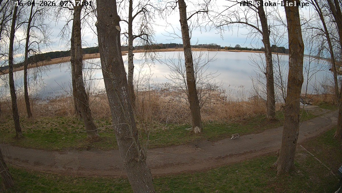 Meteo.lv tweet media