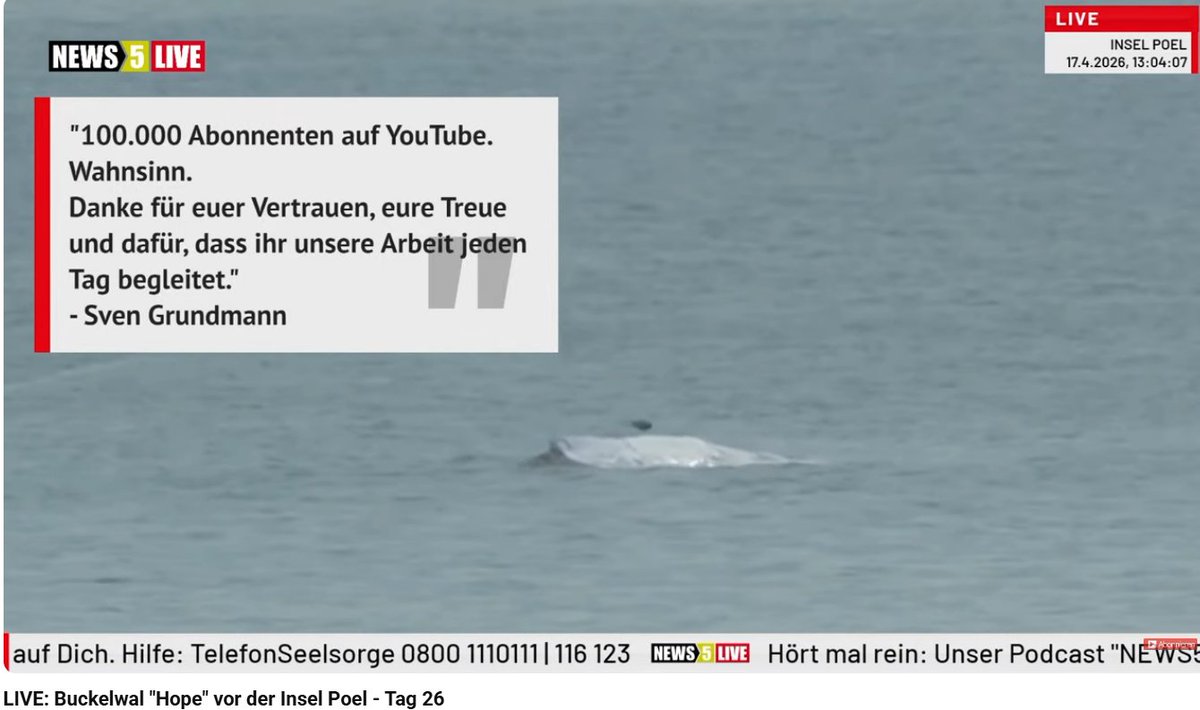Earthfriend21's tweet photo. Schöne Nachricht: 1⃣0⃣0⃣0⃣0⃣0⃣ Abos für den #YouTubeHelp #Kanal von NEWS5 😊👍❣️
Haben die echt verdient als kleiner unabhängiger
Sender mit 24/7 QUALITÄTS #Journalismus 🙆♂️❗️
#news5 #news #tierrettung #buckelwal #timmy🐋 #hope #livestream #insel #poel
⤵️
https://t.co/1T9YXIjKS2 https://t.co/qnrypjTEMl