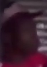 Este comportamiento nunca lo he visto anteriormente en un dominicano. Si me equivoco envíenme un video.