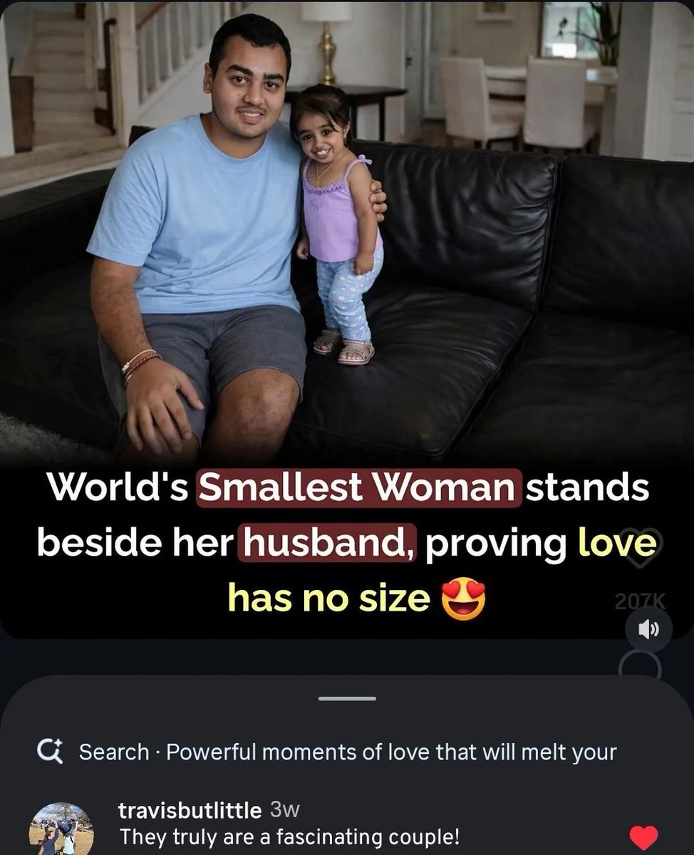 literal memes tweet media