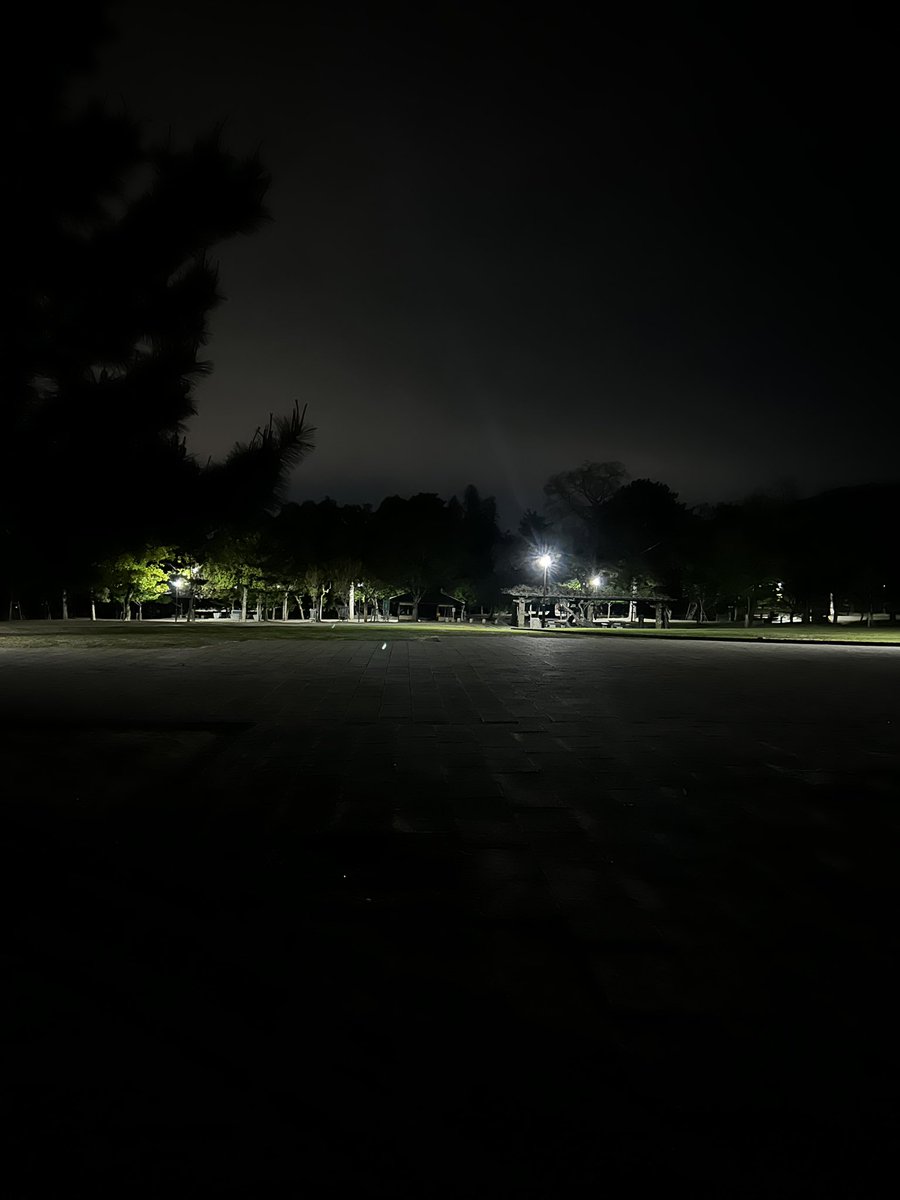 鹿も居ねえ。。。🫎

#奈良公園