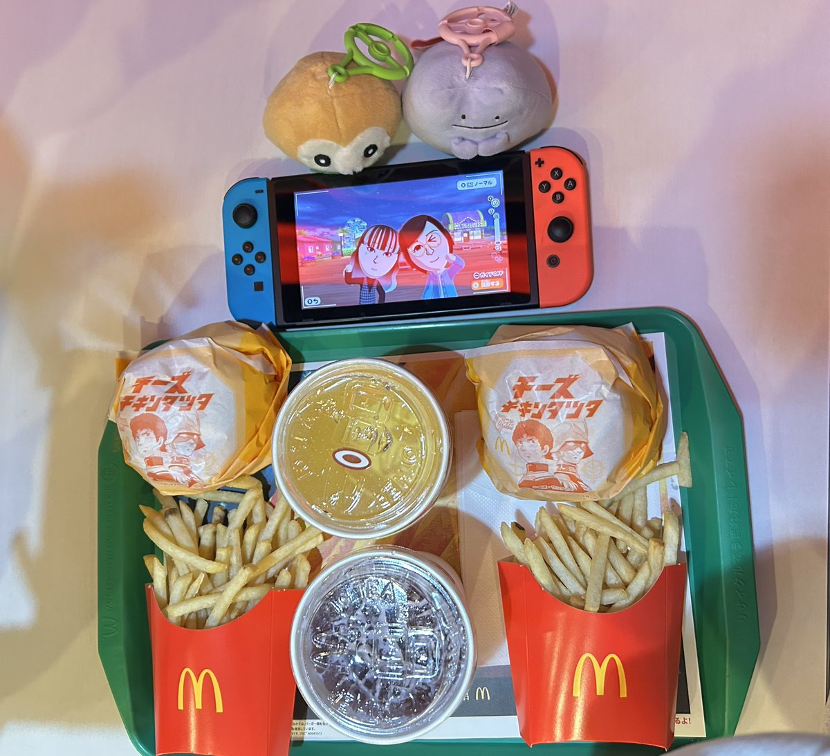 もんもんに奢るからチキンタツタ食べに行こうとずっとごねている夢を見たので、召喚して食べに来ました。もちろん奢りです