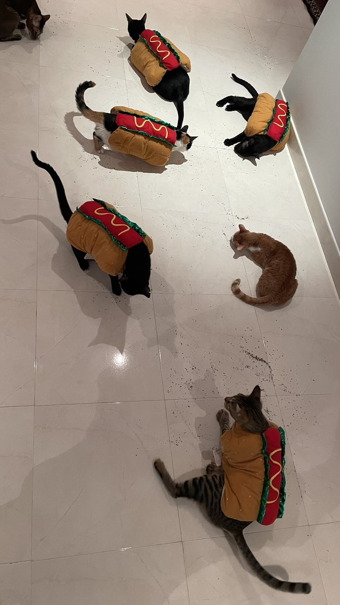 Stupid Lily :3 tweet media