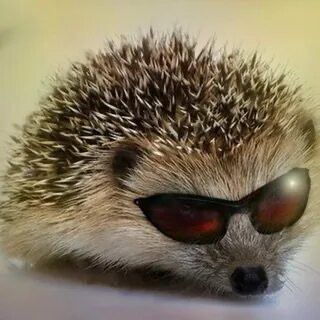 zн🐨ྀིྀི (@dtx_too) on Twitter photo 