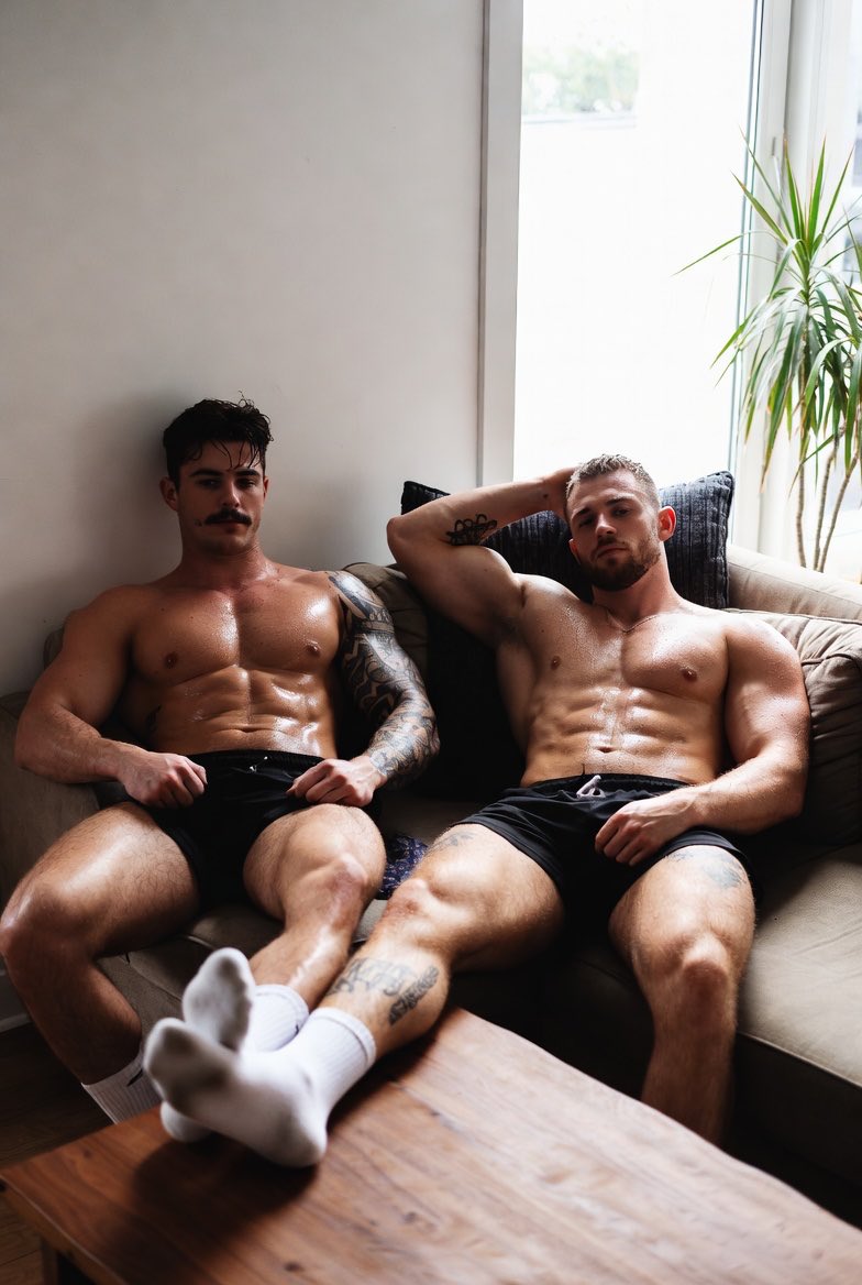 The Sock Fox tweet media