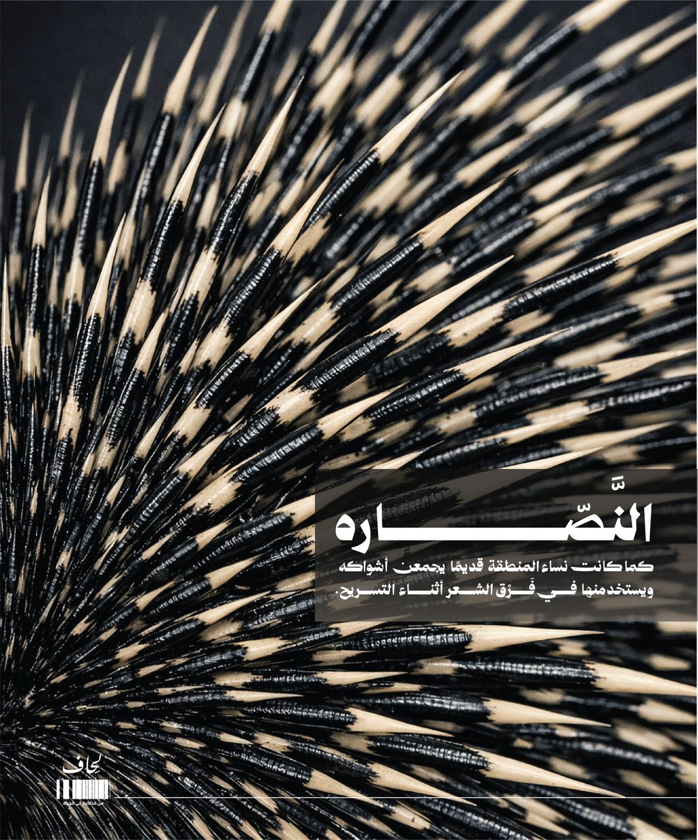 نادي لِحَاف tweet media