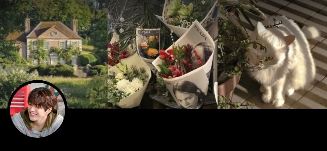 levie 🚥 tweet media