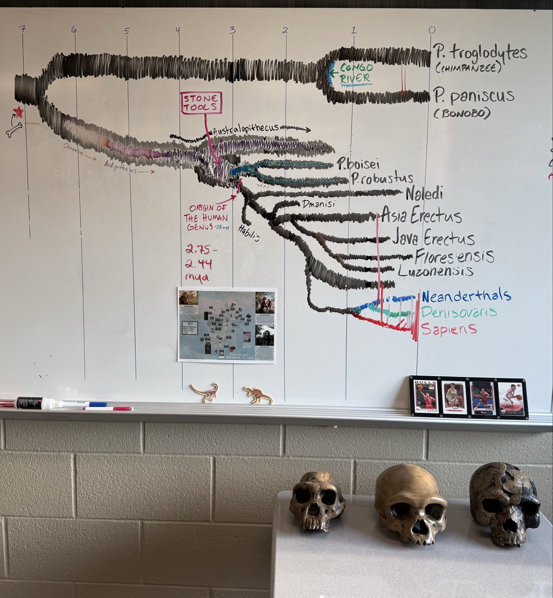 Zeke Darwin tweet media