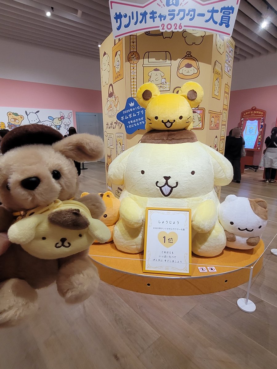 るぅたん tweet media