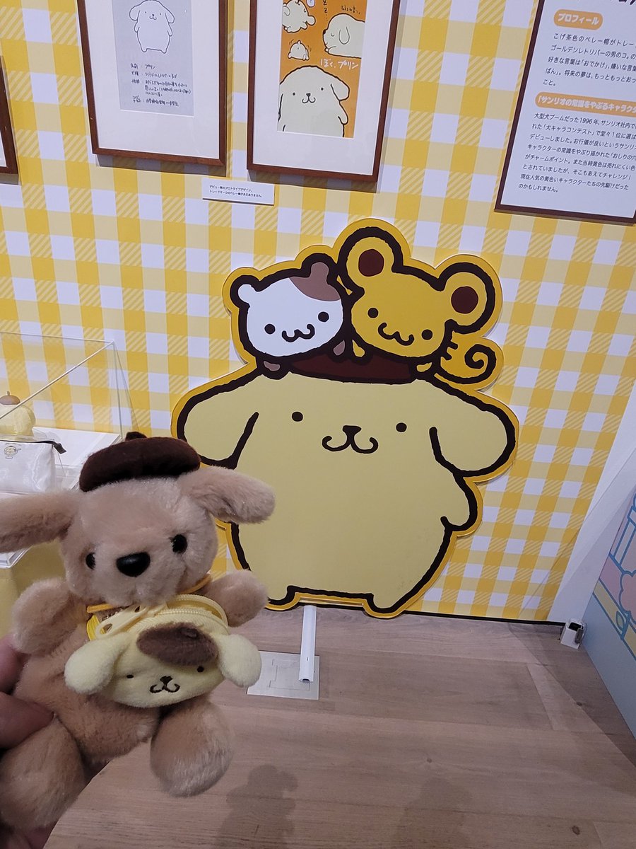 るぅたん tweet media