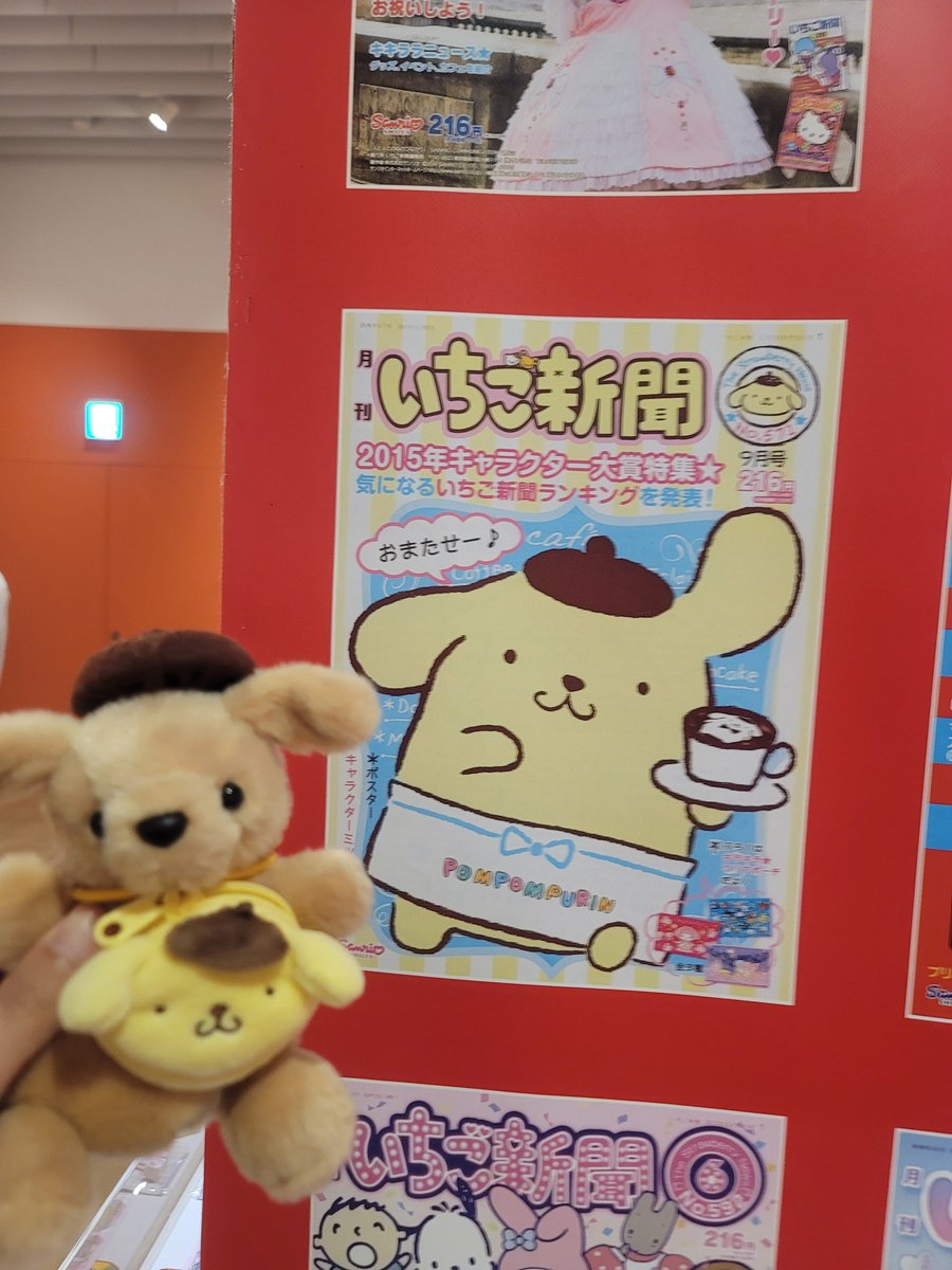 るぅたん tweet media