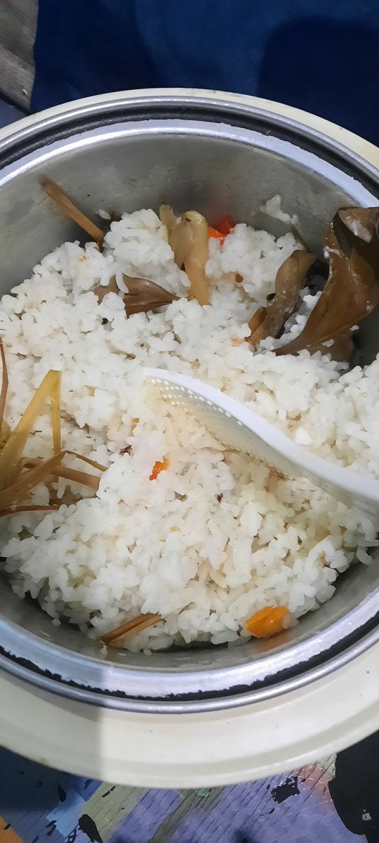 HelloRa🌻 tweet media