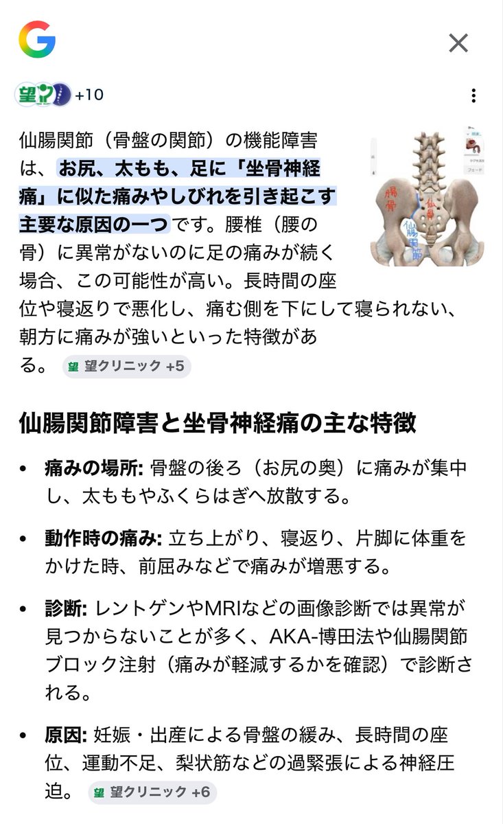 shino🐘22w妊糖 tweet media