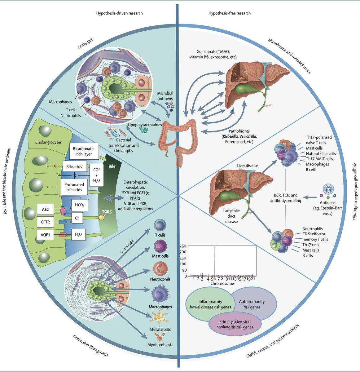 Arndt Vogel tweet media