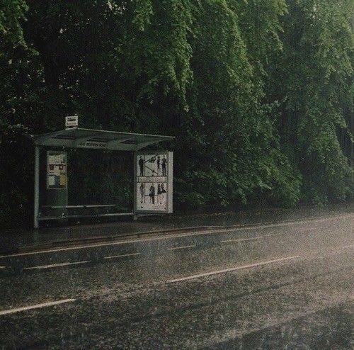 𝑝𝑢𝑟𝑒 tweet media