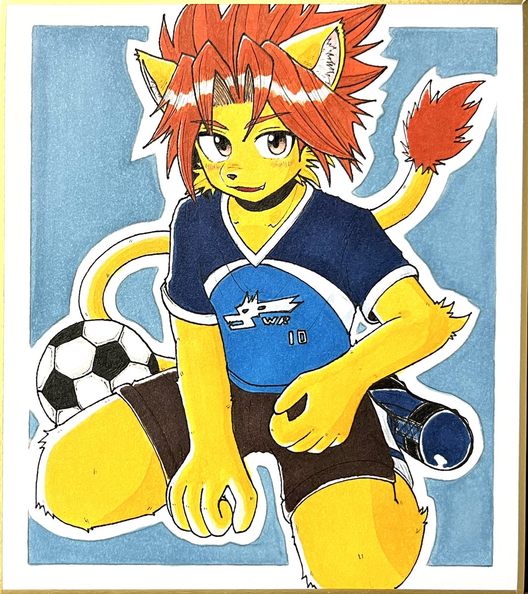 しんた tweet media