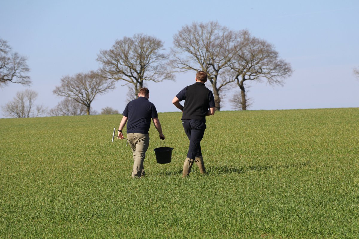 Origin Soil Nutrition tweet media