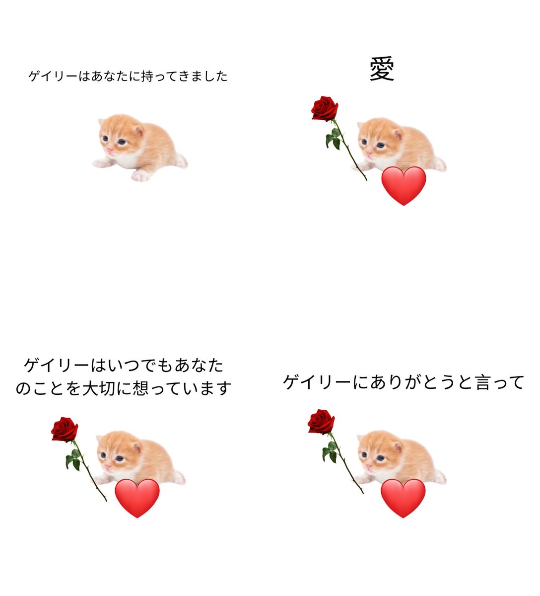 ゲイリー tweet media