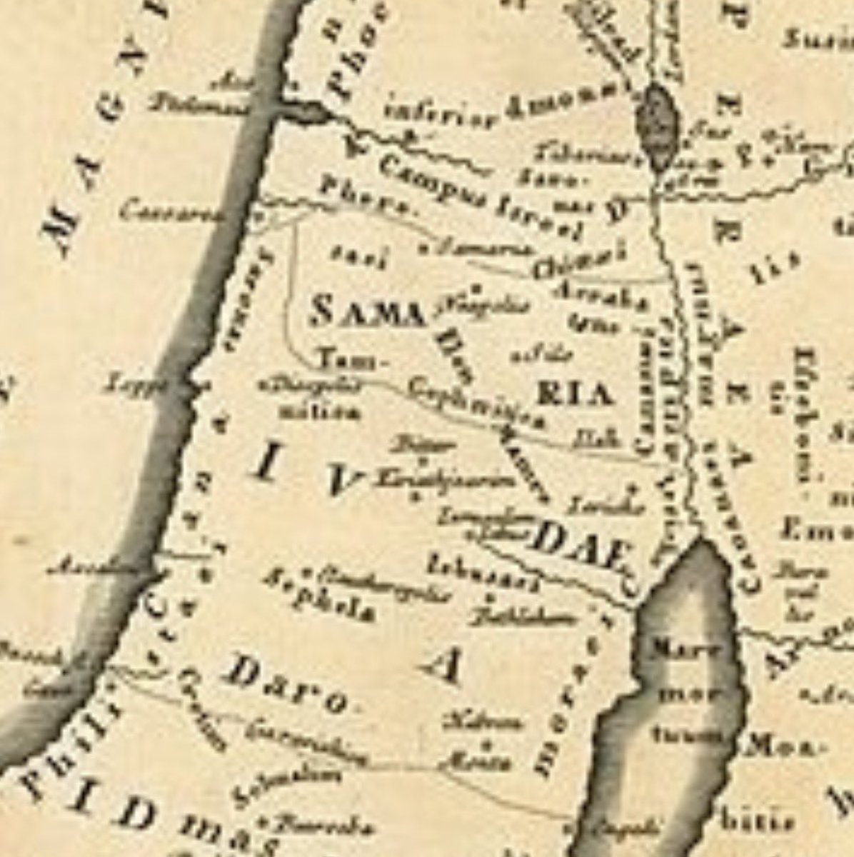 Max 📟 tweet media