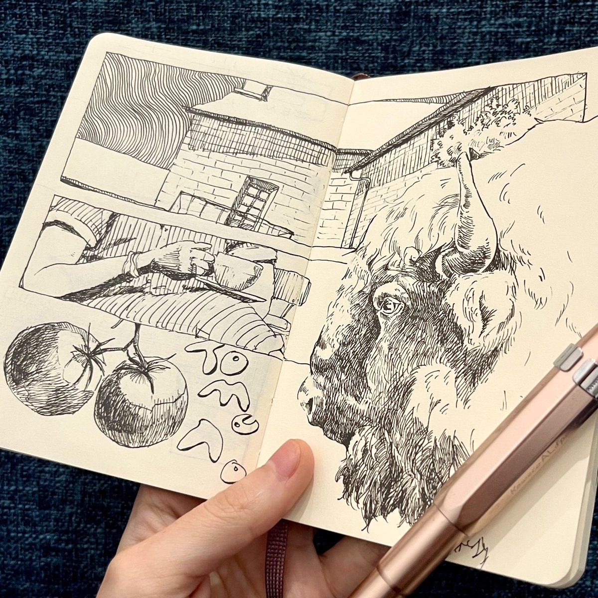 ひろはたゆきち tweet media