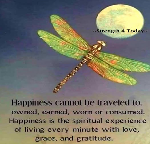 Strengthfor2day's tweet photo. #Happiness Cannot Be #Traveled To,
#Owned, #Earned, #Worn, Or #Consumed.
Happiness Is The #Spiritual #Experience of #Living
Every Minute With #Love, #Grace, And #Gratitude.
#RecoveryPosse #Strengthfor2day https://t.co/LbTfWdDHha