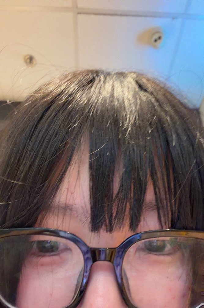 丰川祥子爱分尸 tweet media