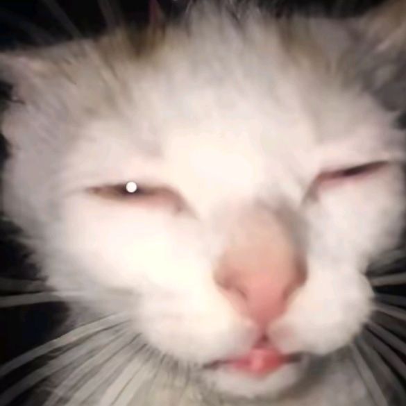 𝒎𝒊𝒔𝒔 ᴀsʜᴄʀᴏғᴛ tweet media