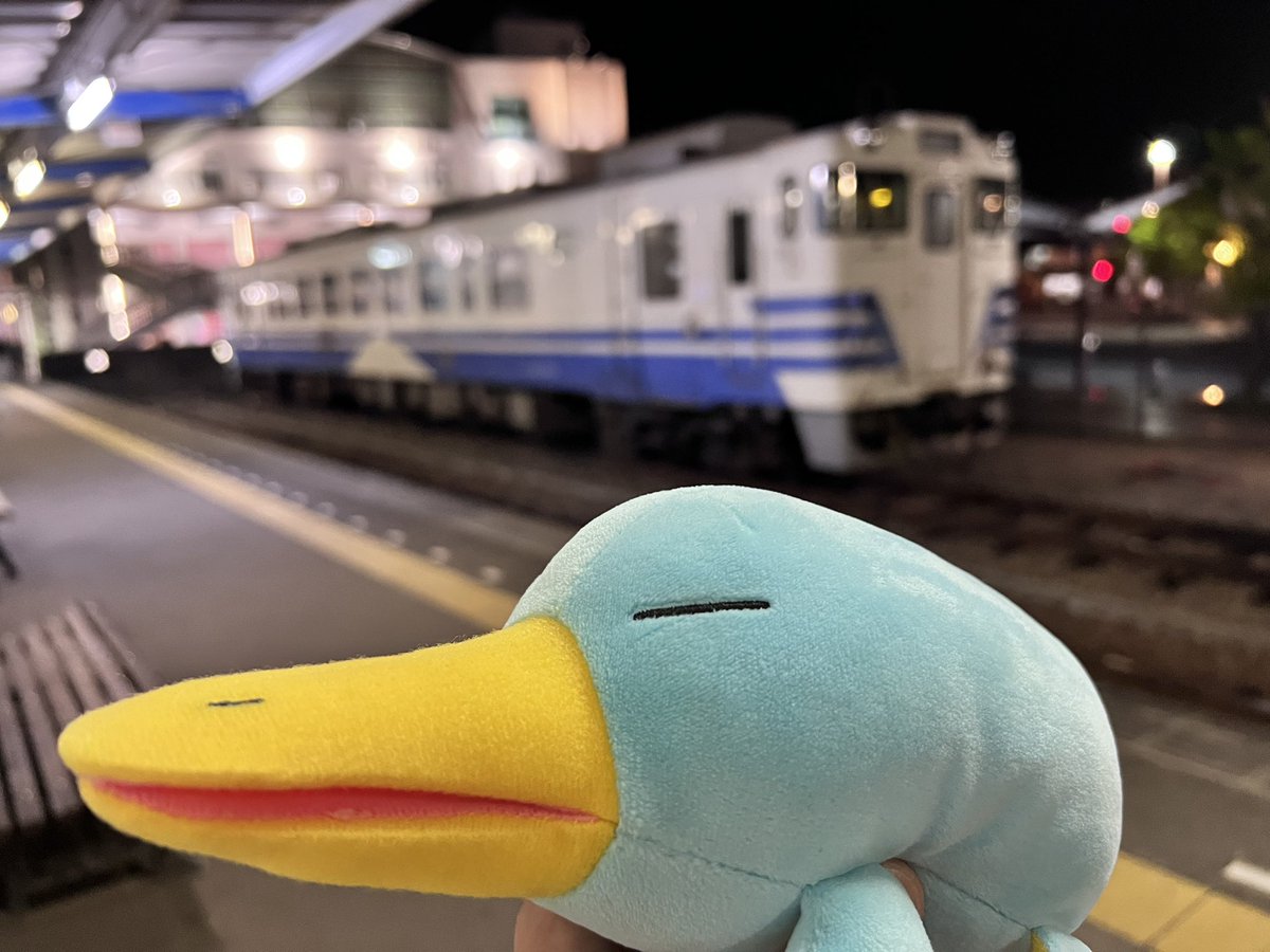 よろづのかるみ tweet media