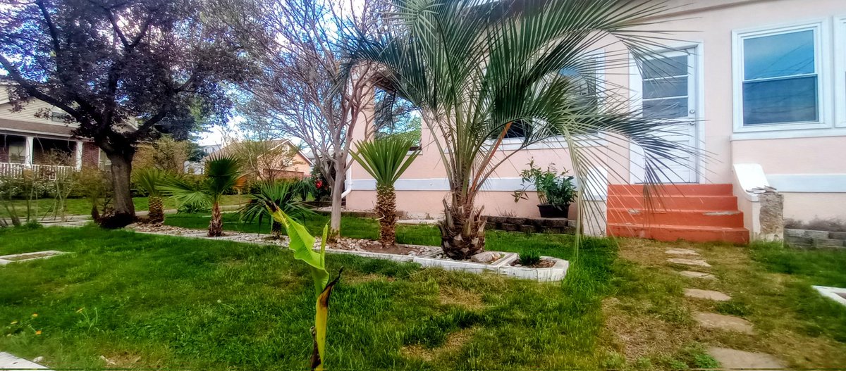 🌴The Gardener🌴 tweet media