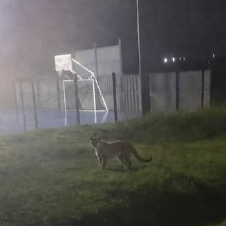 Montevideo Portal tweet media