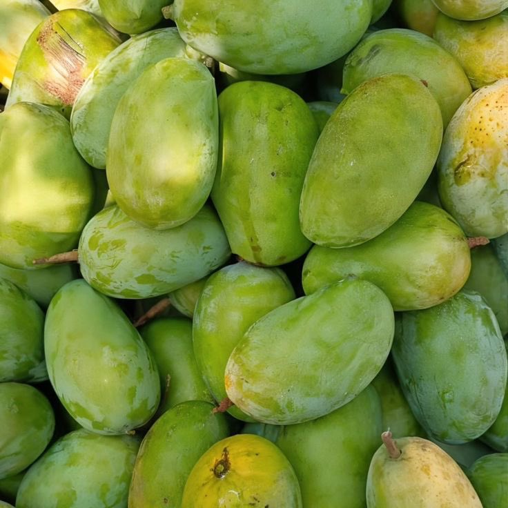 Madu Maryjane tweet media